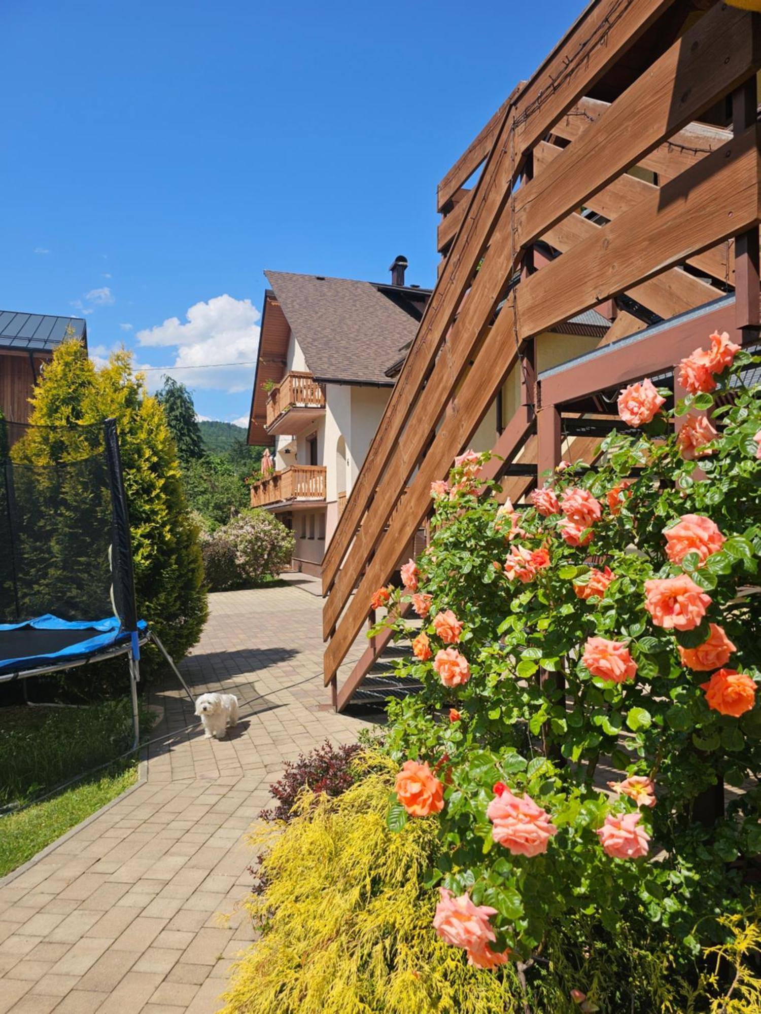 Wieczorek Goscinne Caloroczne Jacuzzi Ogrodowe
