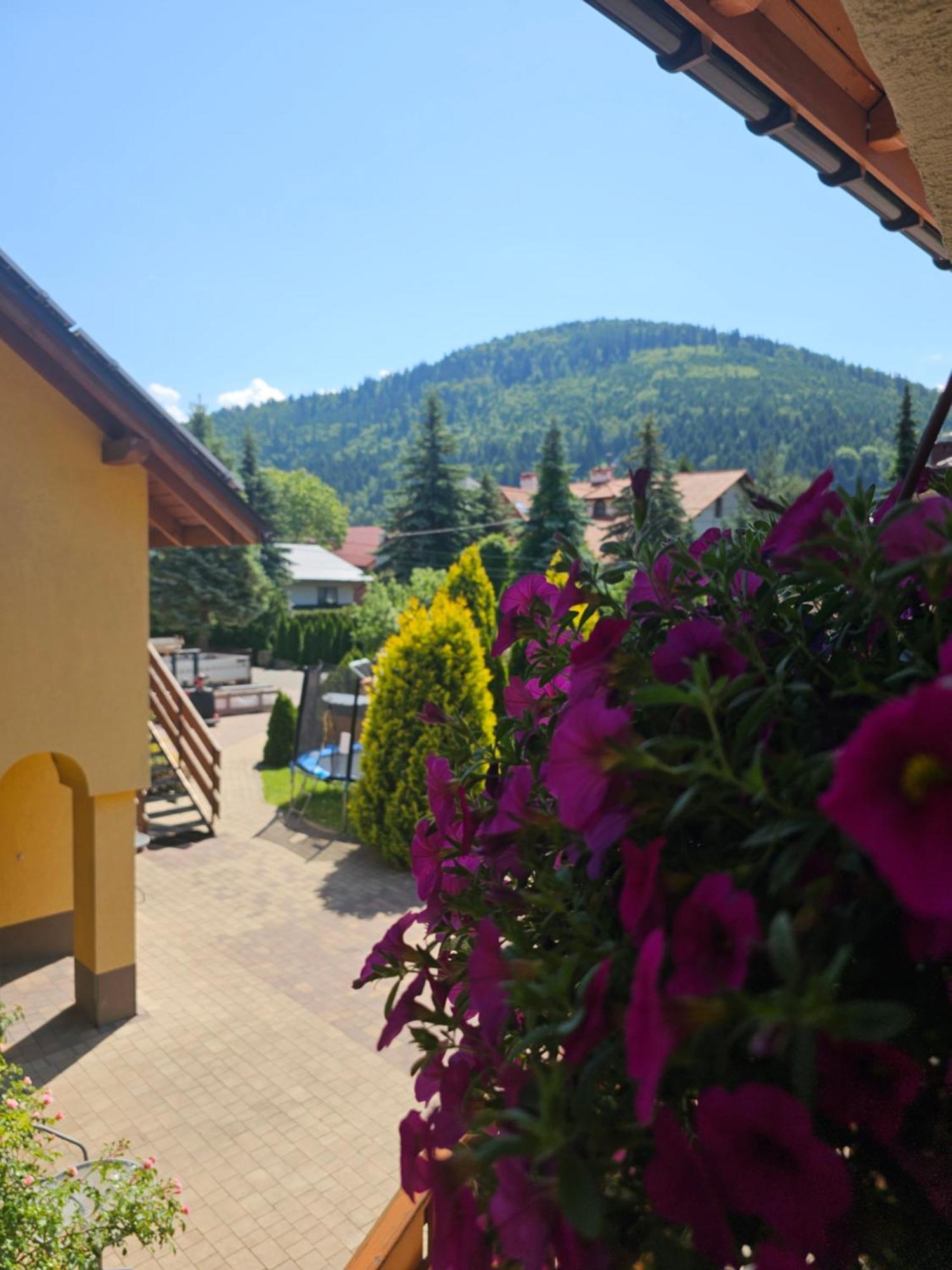 Wieczorek Goscinne Caloroczne Jacuzzi Ogrodowe Ubytování v soukromí